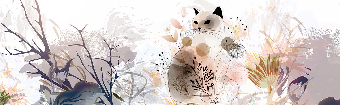 Critter Cards